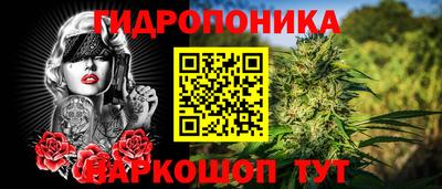 амф Берёзовский